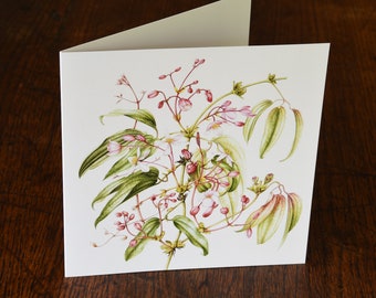 Clematis armandii "Apple Blossom" greeting card