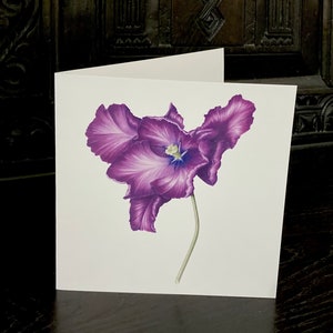 Tulipa 'Victoria's Secret' greeting card