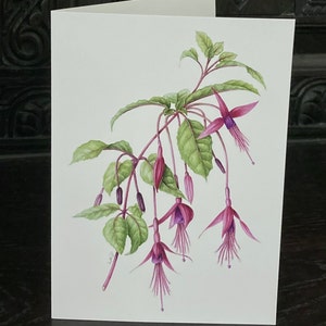 May include: A greeting card featuring a watercolor painting of a fuchsia flower with pink and purple petals and green leaves.