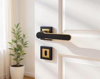 A Pair of Black&Gold Modern Styling Door Lever Set in Zinc Alloys, Luxury Door Knob, Futuristic Door Handle Design, Interior Door Knob