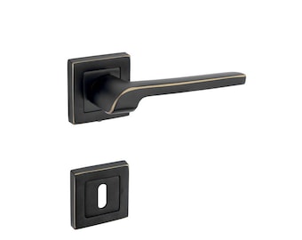 A Pair of Door Lever Handle Set with Rosettes and Different Color Options, Cutest Door Knob, Matte Black Door Handle, Satin Nickel Door Pull