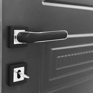 A Pair of Black&Silver Modern Styling Door Lever Set in Zinc Alloys, Luxury Door Knob, Futuristic Door Handle Design, Interior Door Knob