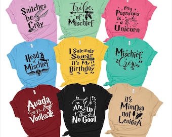 Universal Birhtday Shirt, Universal shirts, Universal Studio Shirts, Familay Universal Shirts, Matching Universal Shirts, Birthday Shirt 426