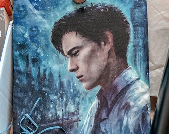Holland Vosijk Booksleeve A Darker Shade of Magic