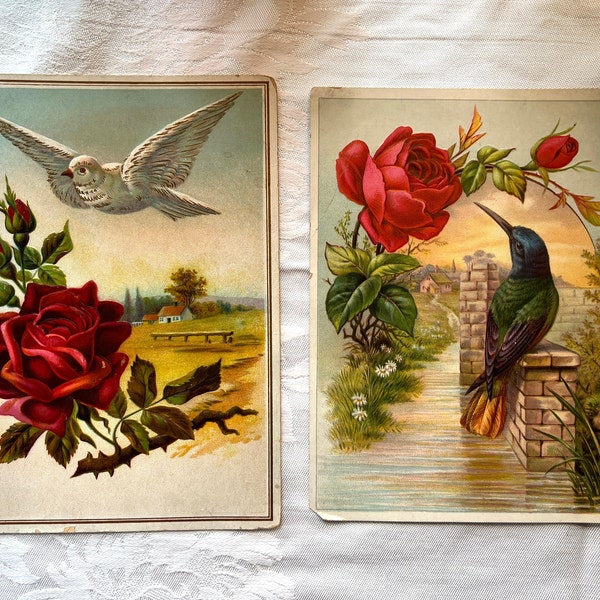 Victorian Trade Cards Early 1900s Embossed Rose Card Victorian Card Botanical Details Vintage Hummingbird Card Vintage Ephemera Junk Journal