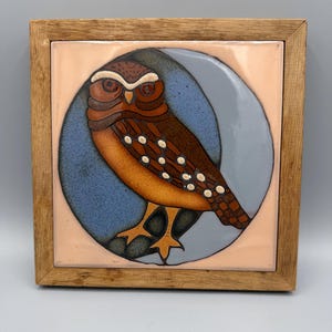May include: A square, framed ceramic tile featuring a detailed owl illustration. The owl, in shades of brown and orange, is set against a blue and pink background. The wooden frame adds a rustic touch to this decorative piece.