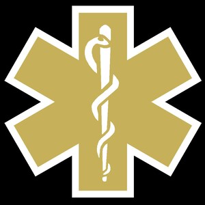 Gold Reflective Vinyl Star Of Life Car or Fire Helmet Decal multiple sizes