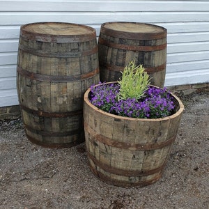May include: Three wooden barrels, two are empty and one is filled with purple flowers. The barrels are used as planters.