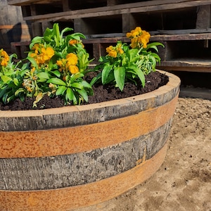 May include: A rustic wooden planter with rusty metal bands, filled with dark soil and yellow flowers. The planter is sitting on a dirt surface.