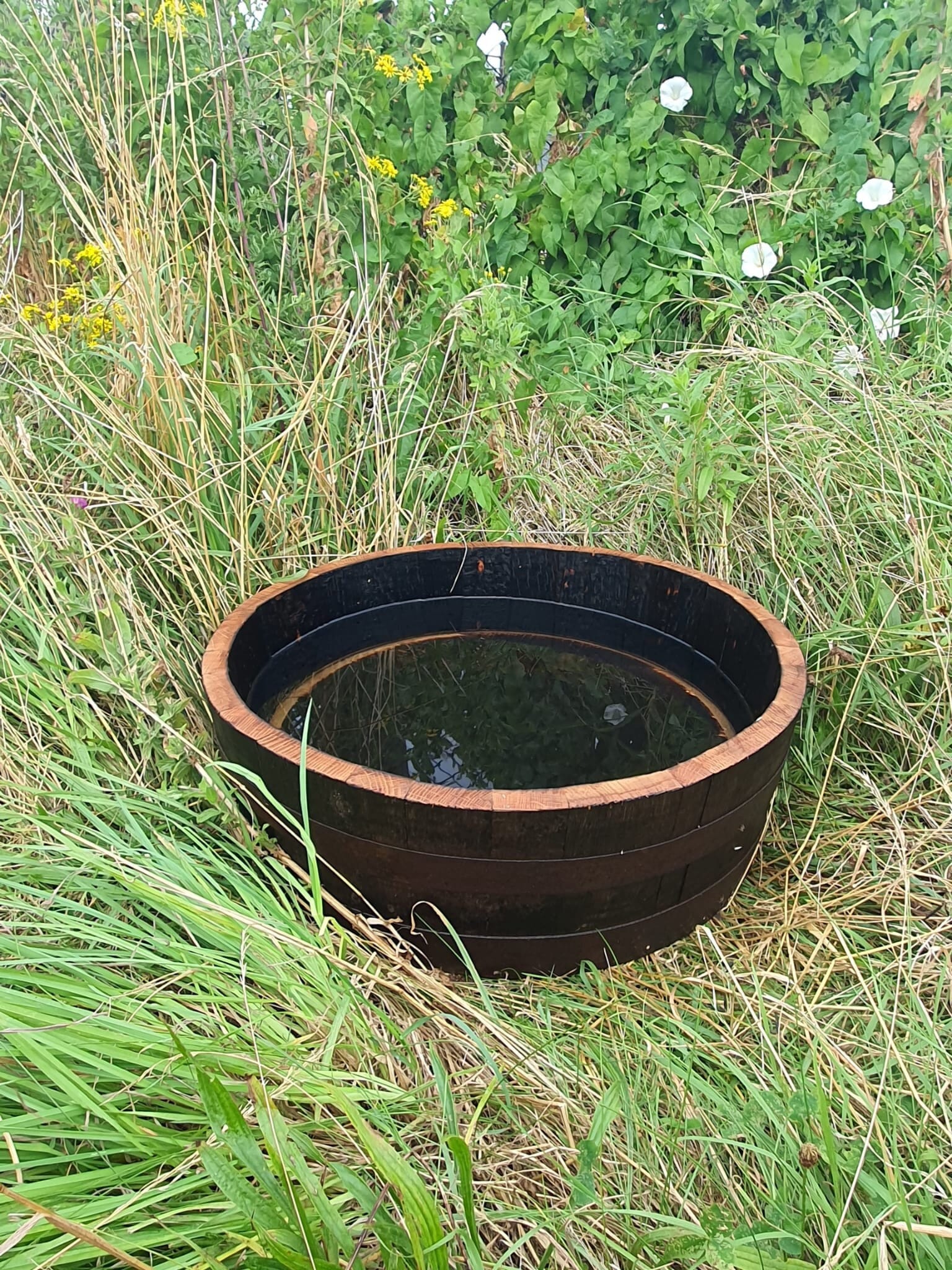 Shallow Whisky Barrel Water Feature Lily Pond DIY Project Etsy