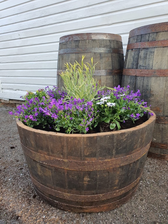 Large Wide (40cm Tall) Oak Reclaimed Barrel Whisky Whiskey Planter Tub Half Barrel  Garden Flower Tree Shrub DRAINAGE Holes//screw Bands - Etsy