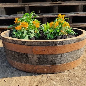 Reclaimed 1/4 Whiskey Whisky Oak Barrel Planter Herb Spice Garden Shallow Rustic Wooden