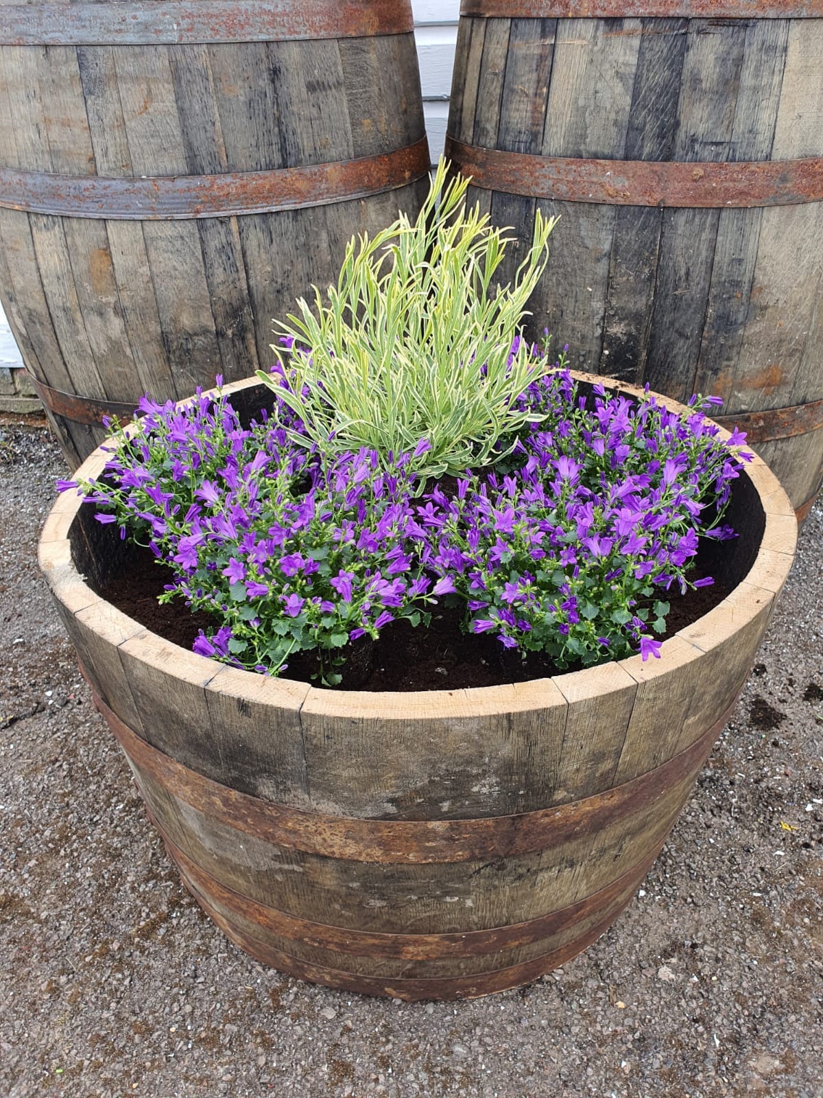 Oak Barrel Whisky/whiskey Planter Half Barrel Tub Rustic Garden Flower Pot  - Etsy