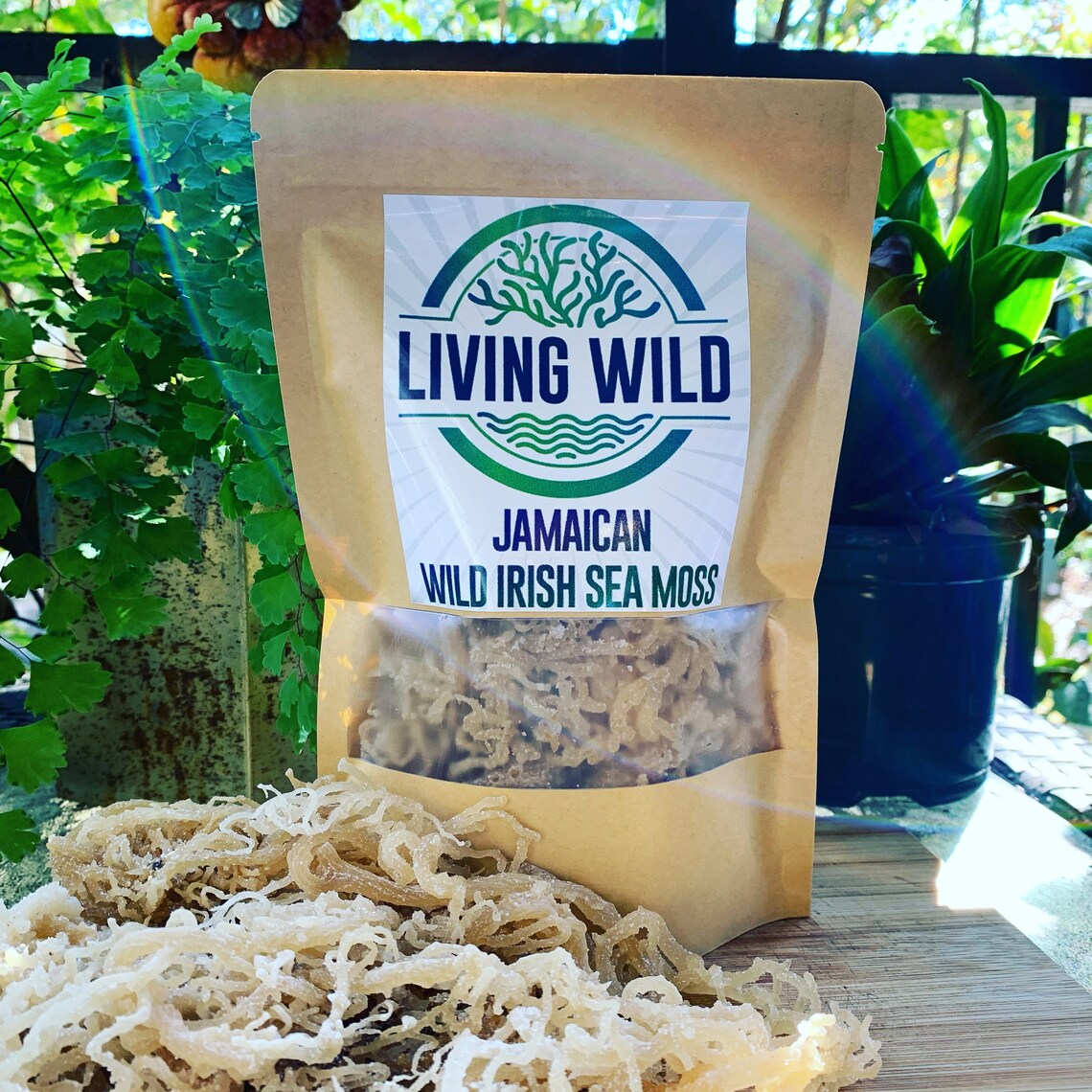 Sun Dried Sea Moss Etsy