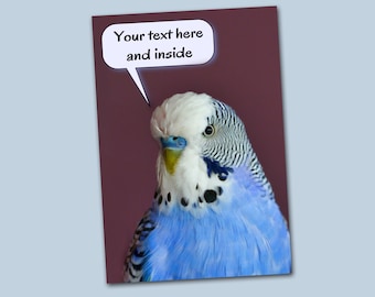 Pode incluir: Um periquito azul e branco com um balão de fala que diz "Your text here and inside".
