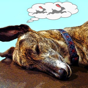 Brindle Greyhound Lurcher Whippet Blank Greeting Card Art Print  A5 size  Linen Texture