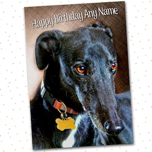 Personalised Black Greyhound Lurcher Birthday Card  Illustrated & personalised inside too!  A5 size