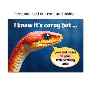 May include: A rectangular greeting card featuring a red snake against a dark blue background. The text reads: I know it's corny but... Love and hisses on your 12th birthday Alfie. The card is personalised on the front and inside.