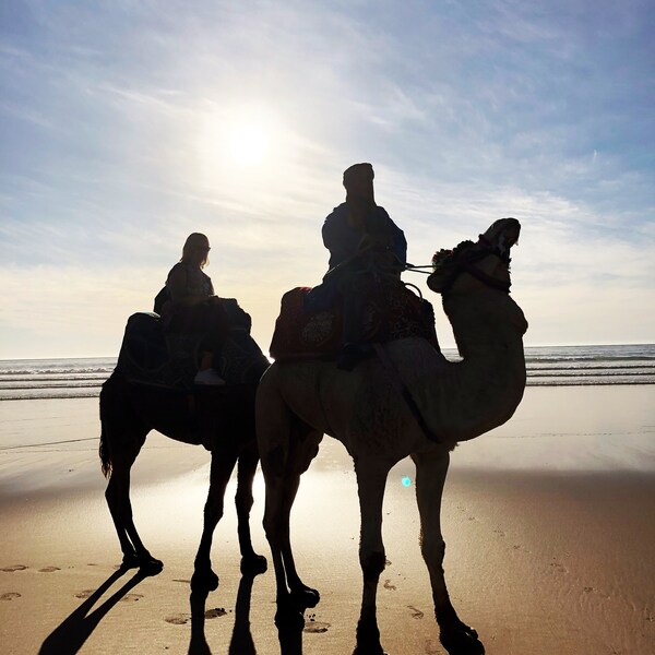 Marokko, Kamele, Wandbild, Wanddeko, Leinwand, Digital, Poster, Foto, Druck, Foto, Taghazout, Reiter am Strand, Atlantik