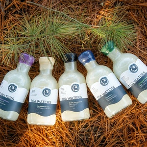 Bold Bubble Baths for Men and Women Organic Coconut Milk with Botanicals Vegan Handcrafted The Complete Collection TOA Waters image 1