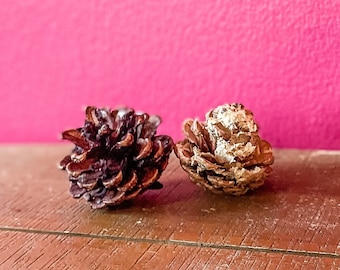 Flavored pinecone chew Toys, Bunny Chew Toy Bundle, flavored balsa sticks, rabbit toys, Guinea Pig toys, Bunny toy box, Hamster chew toy