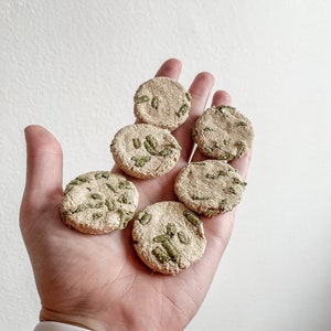 Galletas con chispas de chocolate, juguetes para animales pequeños, caja para conejos, caja de golosinas para conejos, golosinas y juguetes para conejos, golosinas para conejos, golosinas para conejos, tarro de golosinas para conejos