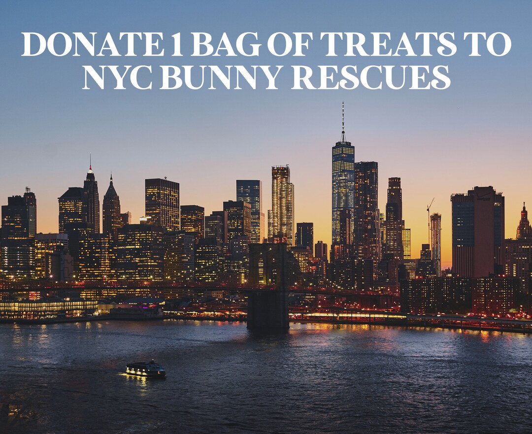 Help Homeless NYC Bunnies Donate a Treat to a Homeless NYC Bunny