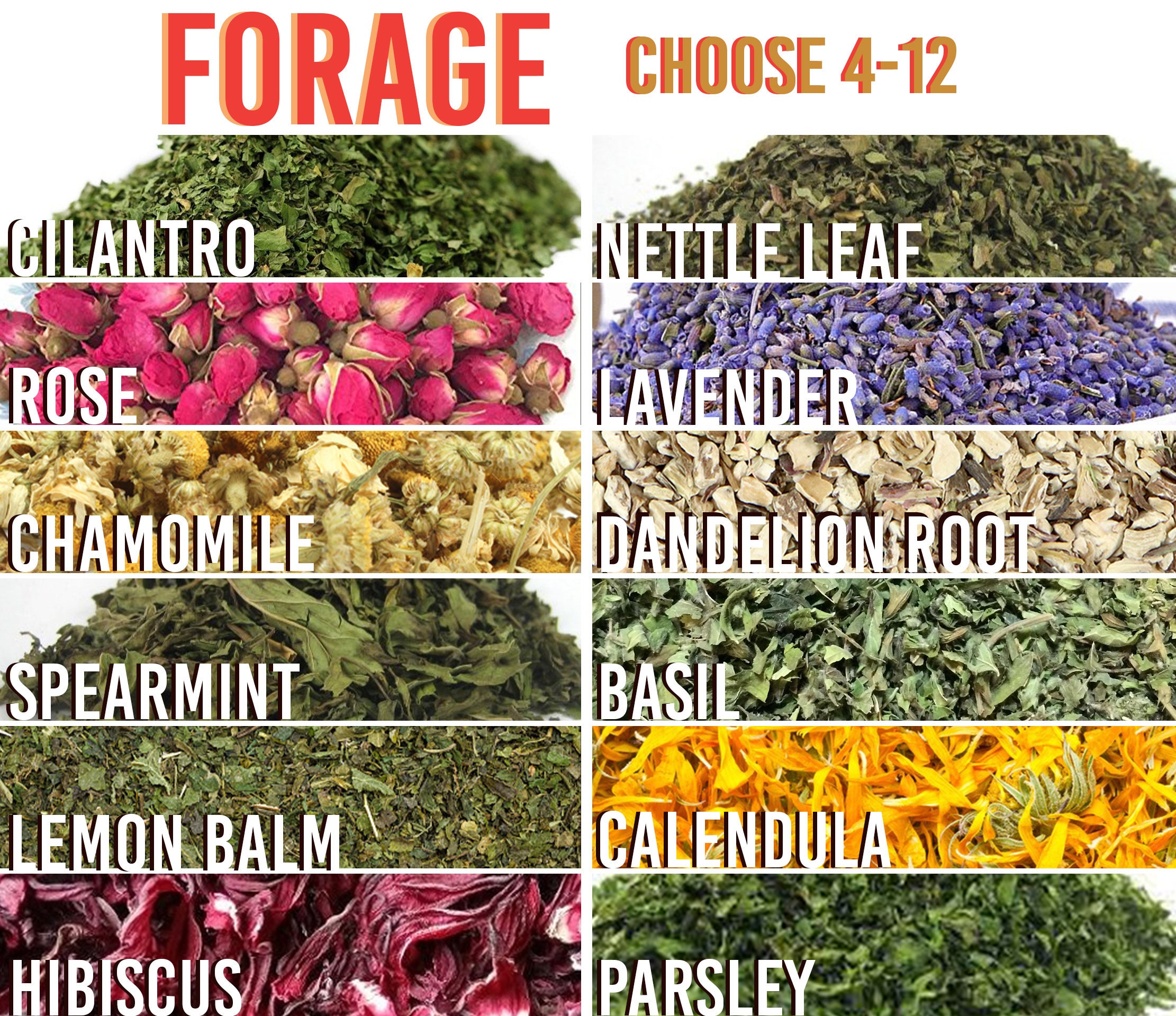DIY Bodega Blend Forage Rabbit Forage Mix Bunny Forage Etsy