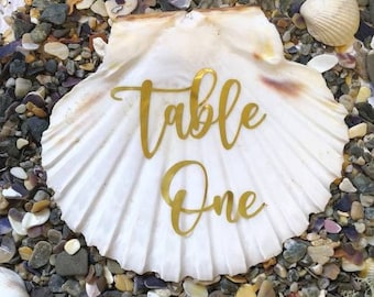 Wedding Scallop Shell Place Settings, Special Occasion Centrepiece, Table Numbers and Favours for Special Events