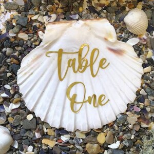 May include: A large white seashell with gold lettering reading "Table One" rests on a bed of pebbles, small rocks, and seashells. The background includes dried moss and a light-coloured wooden surface. A decorative piece.