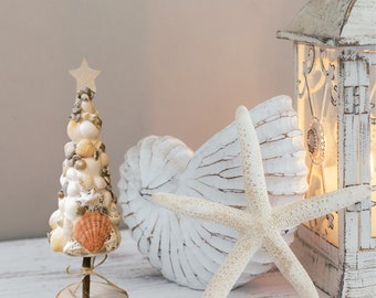 Seashell Tree for Table Centrepiece or Send as a Gift, Great For a Seaside Themed Room. Nautical Table Venue Idea. Coastal Bathroom Décor