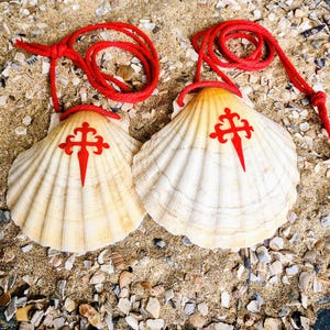 May include: Two white scallop shells with red crosses on them, hanging from red cords. The shells are on a bed of sand and small seashells.
