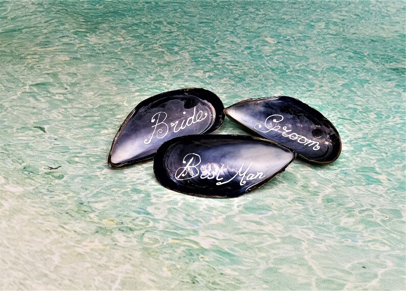 May include: Three black seashells with the words "Bride", "Groom", and "Best Man" inscribed in white.