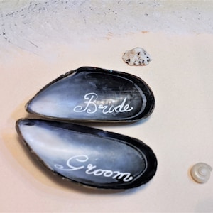 May include: Two black seashells with white lettering. The top shell says "Bride" and the bottom shell says "Groom".