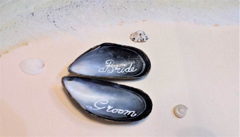 May include: Two black seashells with white lettering. The top shell says "Bride" and the bottom shell says "Groom".