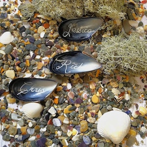 May include: Three black mussel shells with the names "Jessica", "Rod", and "Chris" written on them, surrounded by small colourful stones and seashells on a white wooden surface.