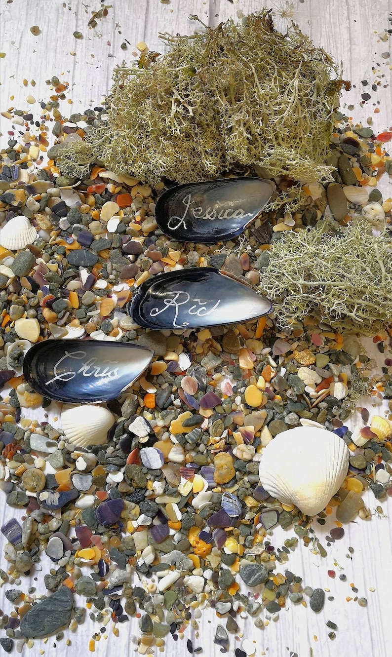 May include: Three black mussel shells with the names "Jessica", "Rod", and "Chris" written on them, surrounded by small colourful stones and seashells on a white wooden surface.