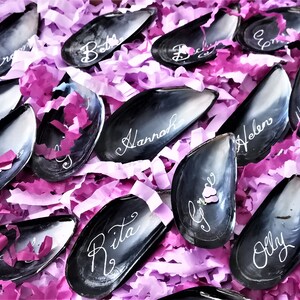 May include: A collection of black mussel shells with white calligraphy names written on them. The shells are arranged in a box filled with pink and purple tissue paper.