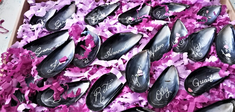 May include: A collection of black mussel shells with white calligraphy names written on them. The shells are arranged in a box filled with pink and purple tissue paper.