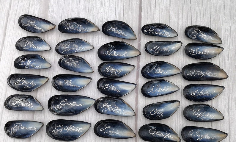 May include: A set of 30 black mussel shells with silver calligraphy names written on them. The shells are arranged in rows on a white wooden surface.