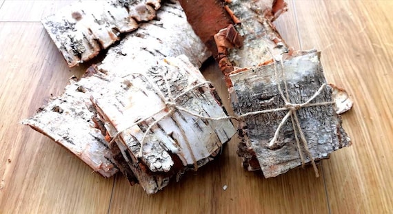 Silver Birch Bark Pieces: Woodland Decor, Witchcraft Supplies