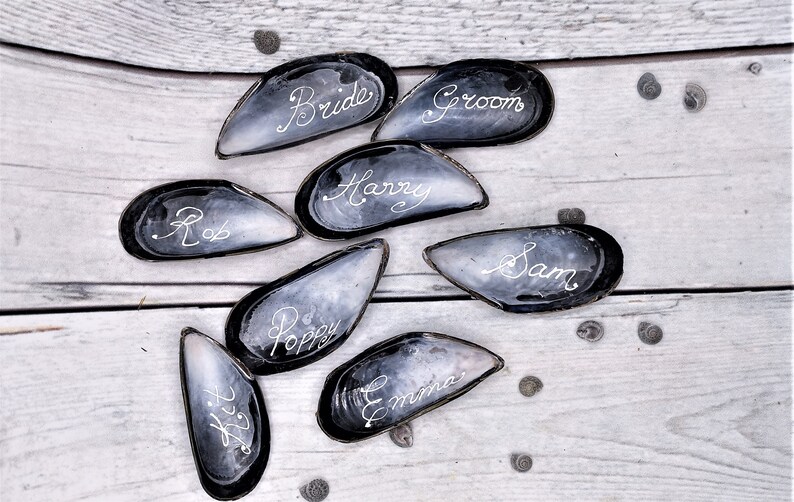 May include: Eight black mussel shells with white calligraphy on a white wooden surface. The names on the shells are Bride, Groom, Harry, Sam, Rob, Poppy, Emma, and  Kit.