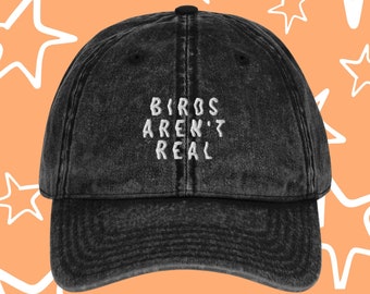 Birds Aren't Real - Baseball Hats - Flexfit Embroidered Hat - Baseball Cap - Conspiracy Theories Gift - Government Hat