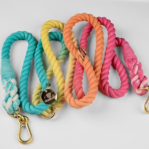 Cotton Rope Rainbow Dog Leash Beyond Par