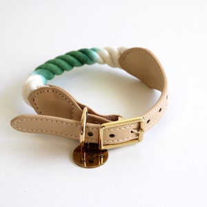 Hundehalsband aus Baumwollseil in der Farbe Klassisch Teal-Beach hinaus Par