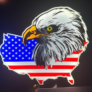 May include: A white bald eagle with a yellow eye is depicted in a graphic design. The eagle's head is facing left and is partially obscured by a red, white, and blue American flag in the shape of the United States. The flag is outlined in white.