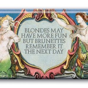 Blondes have more fun Brunettes remember Magnet