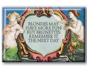 Blondes have more fun Brunettes remember Magnet