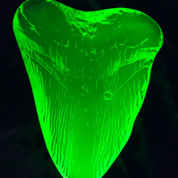 Uranium Glass Megalodon Tooth