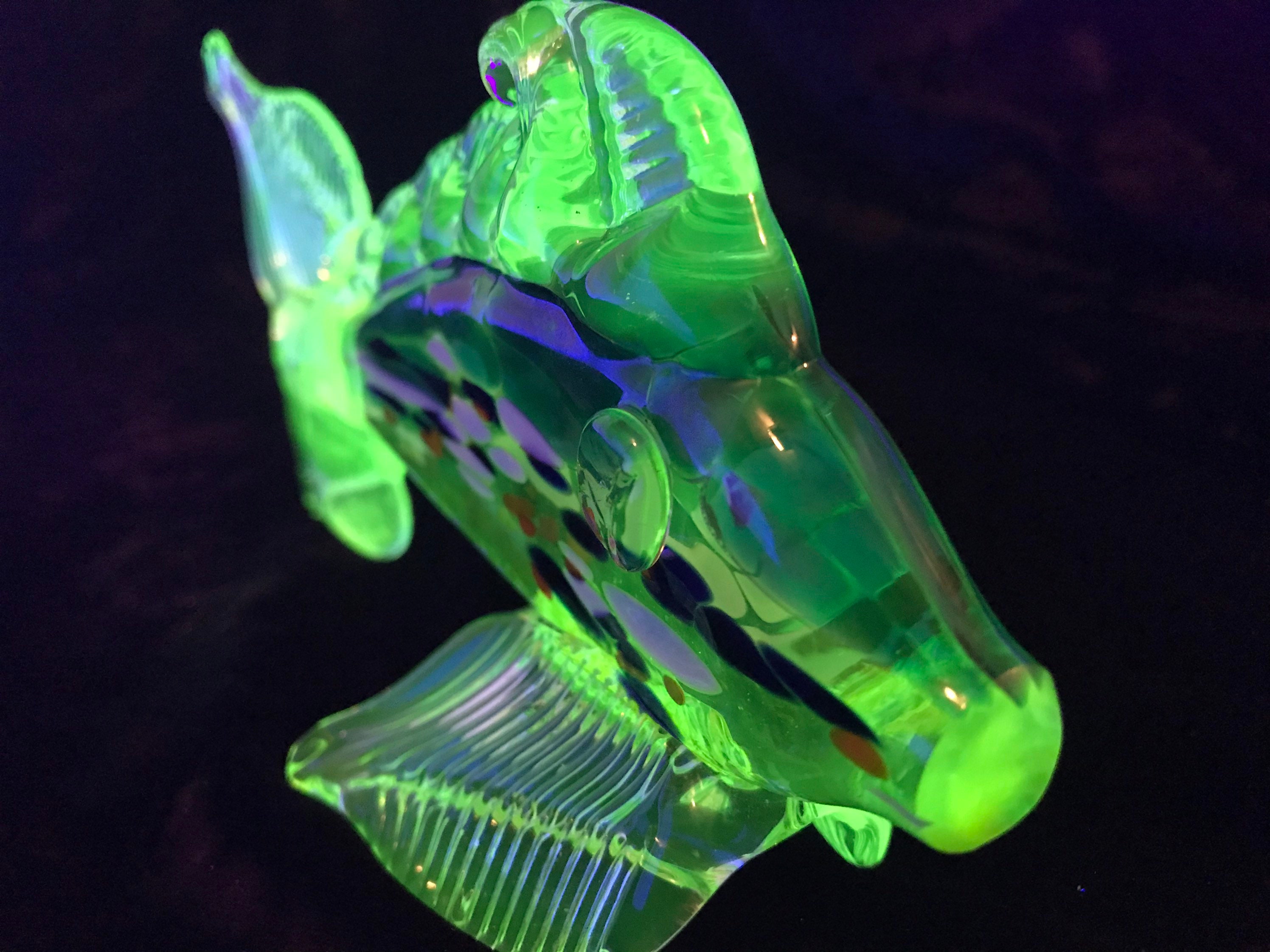 Uranium Glass Mini Fish Tangerine White and Blue Etsy